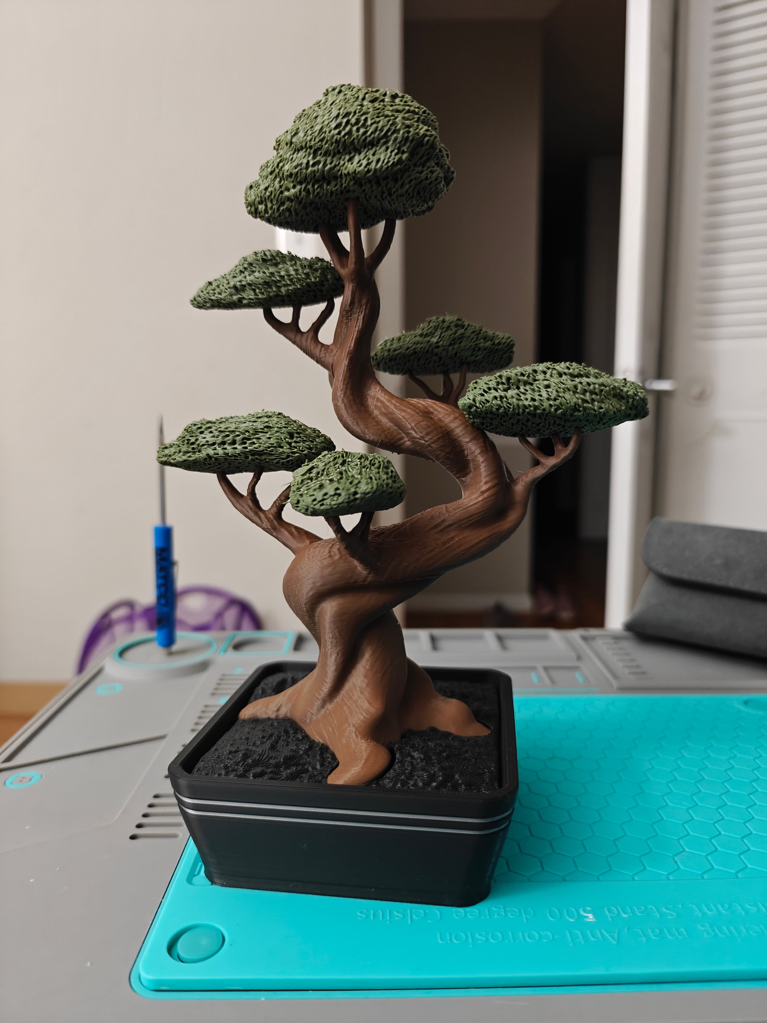 Bonsai